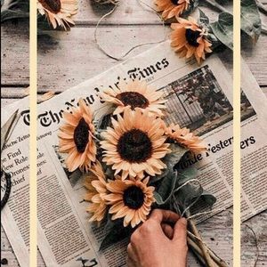 Meet your Posher, Zeynep